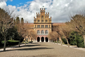 campus life gallery 3 1